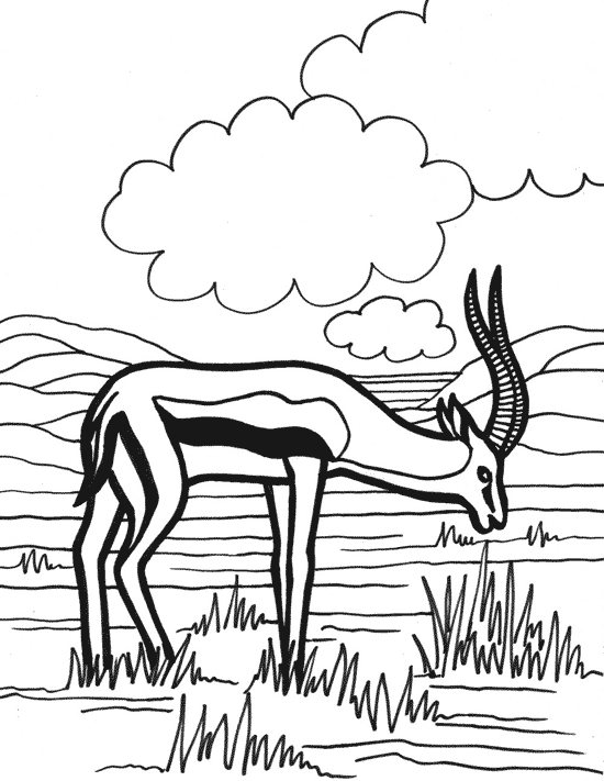 imagini de colorat animal salbatic antilopa